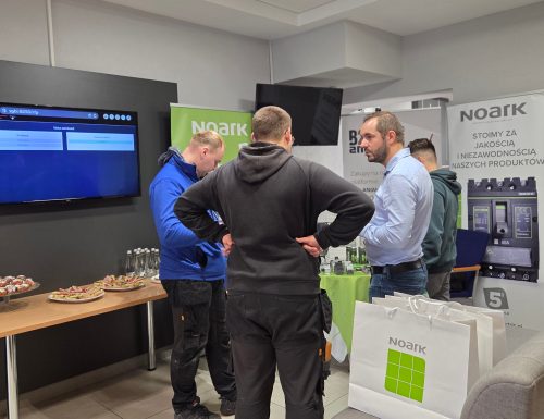 Instalatorzy i przedstawiciel Noark w B2B Ania Holding
